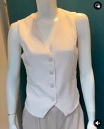 Gilet maat M €10, Kleding | Dames, Ophalen of Verzenden, Nieuw