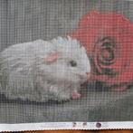 Cavia diamond painting 3, -, -, Nieuw, Ophalen of Verzenden