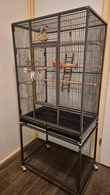 Vogelkooi met toebehoren ZGAN  beschikbaar voor biedingen