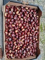 Verse Kastanjes, Ophalen of Verzenden