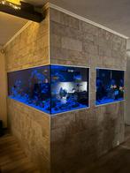 Aquariums en sump te koop, Ophalen, Zo goed als nieuw, Leeg aquarium