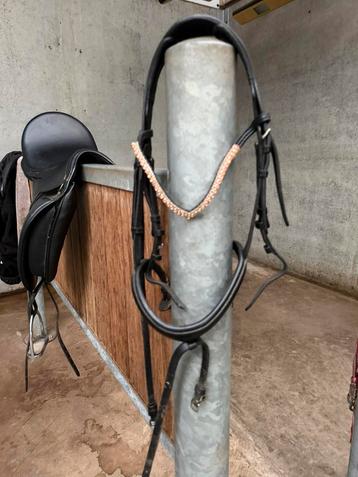 Hoofdstel cob beschikbaar voor biedingen