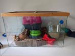 Glazen hamster hok gerbilarium, 70 x 40 x 40, Gebruikt, Minder dan 75 cm, Hok, Hamster