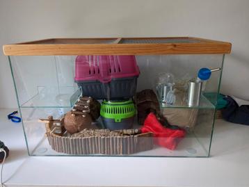 Glazen hamster hok gerbilarium, 70 x 40 x 40 beschikbaar voor biedingen