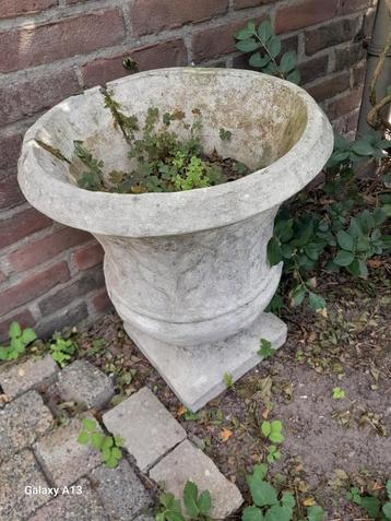 Betonnen bloempot voor tuin/balkon beschikbaar voor biedingen