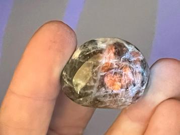 Schelpenjaspis mineralen broekzaksteen trommelsteen UV actie beschikbaar voor biedingen