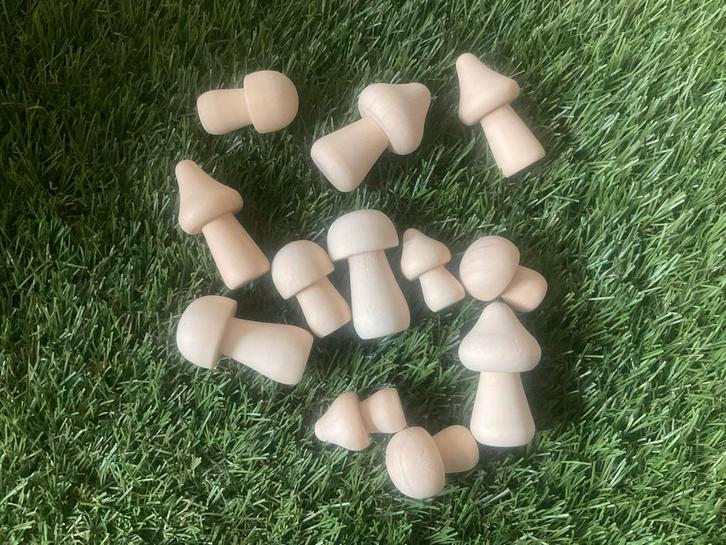Antroposofische Houten Paddenstoelen, Kinderen en Baby's, Speelgoed | Educatief en Creatief, Nieuw, Knutselen, Ophalen of Verzenden