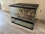 Terrarium 60x40x40 met achterwand en lampenkap, Dieren en Toebehoren, Ophalen, Zo goed als nieuw