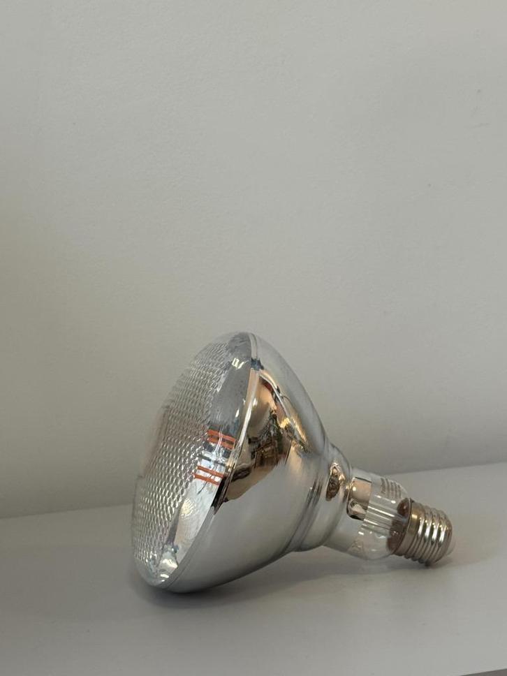 Paulmann planten grow light  Filament 230 V LED, Huis en Inrichting, Lampen | Losse lampen, Zo goed als nieuw, Led-lamp, Minder dan 30 watt