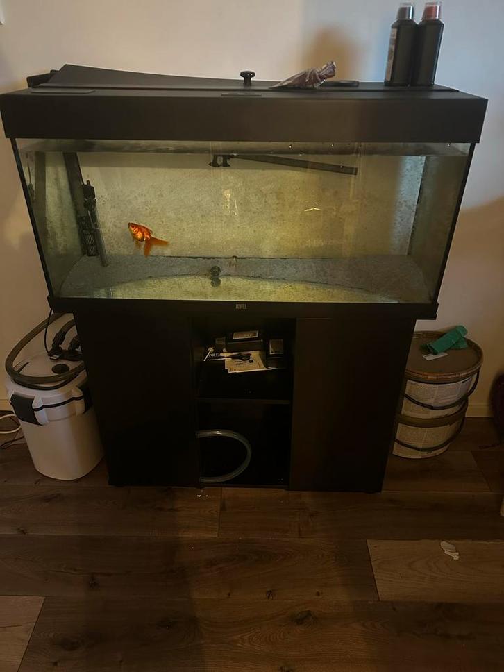 Juwel rio 180, Dieren en Toebehoren, Vissen | Aquaria en Toebehoren, Gebruikt, Gevuld zoetwateraquarium, Ophalen