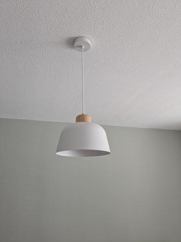 Claudi plafondlamp inclusief lamp beschikbaar voor biedingen