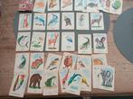 Vintage Kwartet Spel 1959 Canada Animal Bird igst, Ophalen of Verzenden, Overige thema's