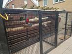 Zoek ara kooi zelf bouw gaas panellen zwart volière, Ophalen of Verzenden, Zo goed als nieuw, Metaal, Vogelkooi