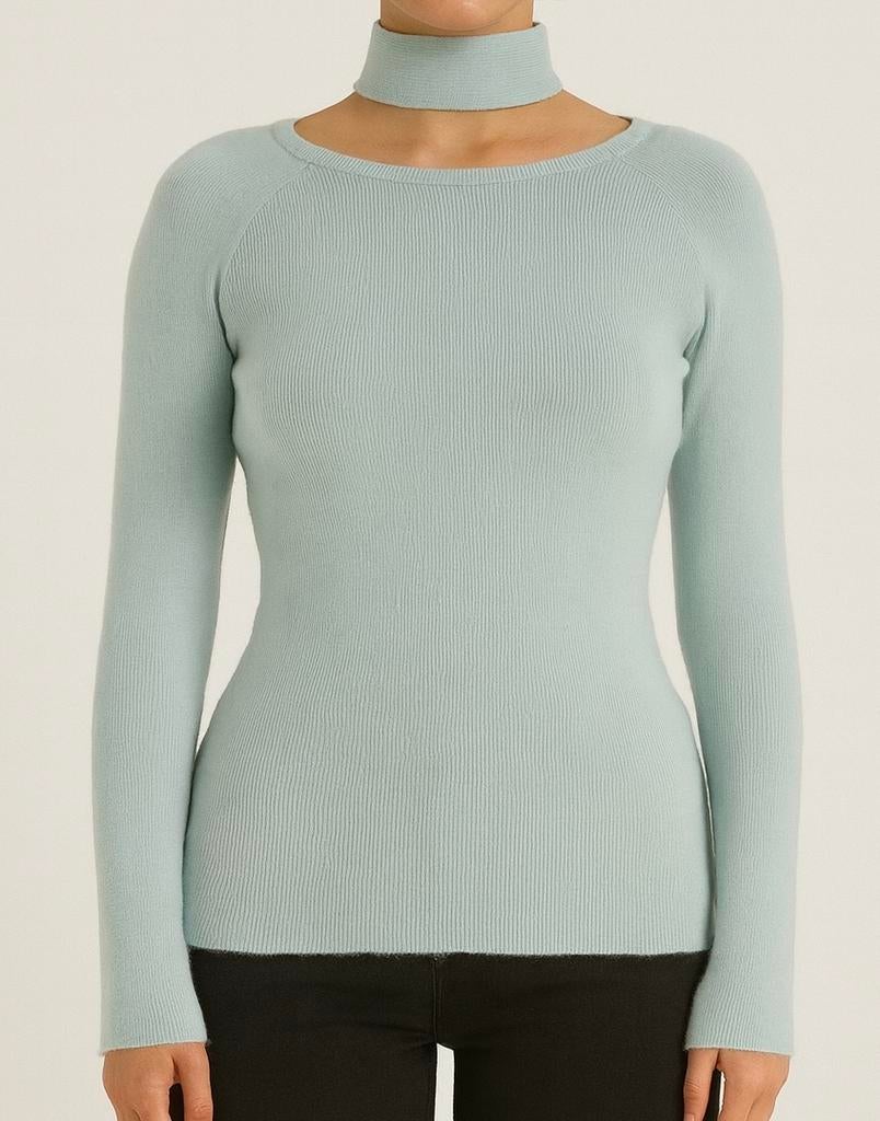 JCL Trui Babyblauw Maat S - Nieuw!, Kleding | Dames, Blauw, Nieuw, Ophalen of Verzenden, JCL