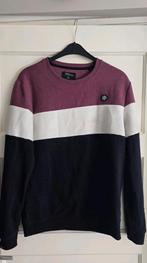 Trui Maat L, Kleding | Heren, Ophalen of Verzenden, Gedragen, Maat 52/54 (L), Jean Pascale