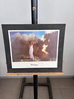 Roeland van der Kley - Painted Ladies, Antiek en Kunst, Ophalen