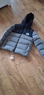 NORTH FACE JAS, Kleding | Heren, Jassen | Winter, Ophalen of Verzenden, Nieuw, Zwart