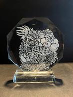 Handgemaakte Kristallen Trofee - Leguaan, Ophalen of Verzenden