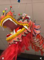 2 Grote Chinese Draken (ca 6 meter lang), Gebruikt, Niet ingevuld, Niet ingevuld, Ophalen