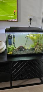 Aquarium superfish 70, Dieren en Toebehoren, Ophalen, Zo goed als nieuw, Leeg aquarium