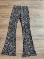 Zgan Flared leg panter broek maat 164 - Geisha, Ophalen of Verzenden, Zo goed als nieuw, Meisje, Broek