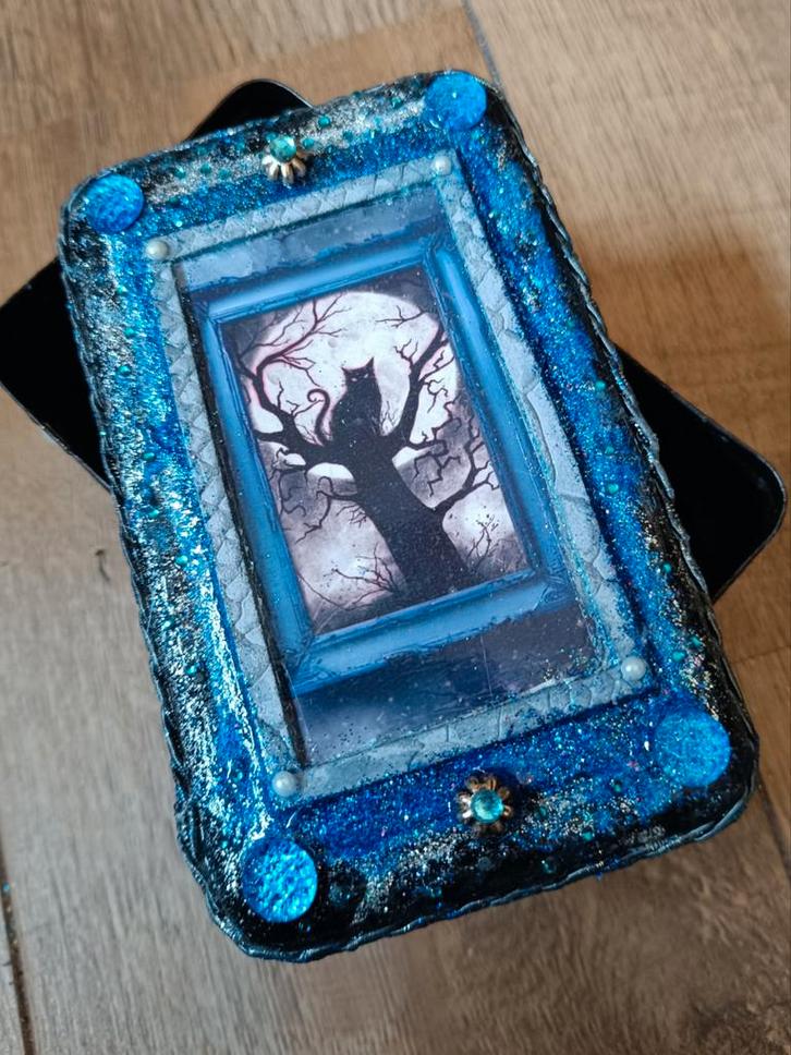 Black Cat, Dieren en Toebehoren, Katten-accessoires, Ophalen of Verzenden