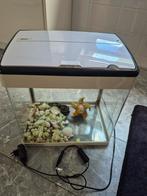 Aquarium, Dieren en Toebehoren, Vissen | Aquaria en Toebehoren, Ophalen, Gebruikt, Leeg aquarium