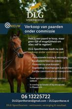 Verkoop van paarden onder commissie  Ook stallen vrij!, Dieren en Toebehoren, Stalling en Weidegang, Stalling, 2 of 3 paarden of pony's