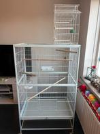 Grote papagaaien/vogelkooi, Dieren en Toebehoren, Vogels | Hokken en Kooien, Ophalen, Zo goed als nieuw, Metaal, Vogelkooi