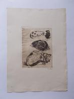 WILLEM DE ZWART (1862-1931) Studie van Katten, Antiek en Kunst, Ophalen of Verzenden