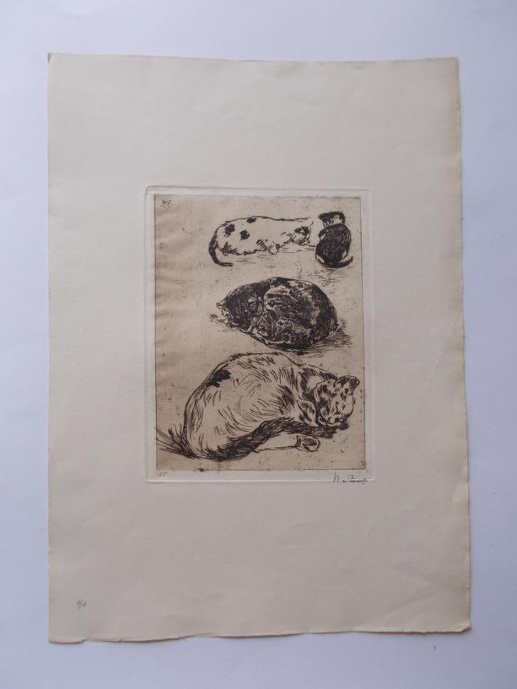 WILLEM DE ZWART (1862-1931) Studie van Katten, Antiek en Kunst, Kunst | Etsen en Gravures, Ophalen of Verzenden