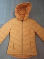 Dames jas xs, Overige kleuren, Nieuw, Ophalen of Verzenden, Maat 34 (XS) of kleiner