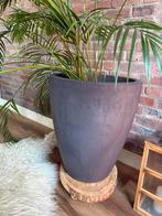 Bloempot binnen Elho, Tuin en Terras, Bloempotten, Ophalen, Kunststof, 40 cm of meer, Rond