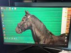 Msi gaming monitor 27 inch, Computers en Software, Monitoren, Ophalen of Verzenden, Zo goed als nieuw, Gaming, IPS