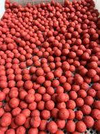 Sweet bubble gum boilies, Ophalen of Verzenden, Zo goed als nieuw, Overige typen