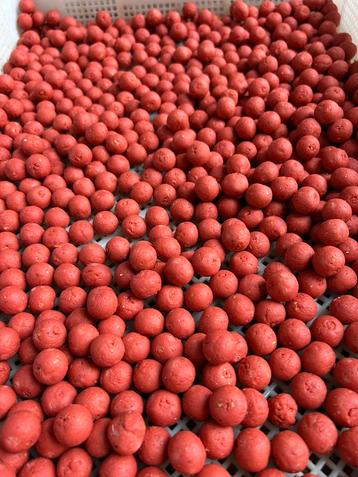 Sweet bubble gum boilies beschikbaar voor biedingen