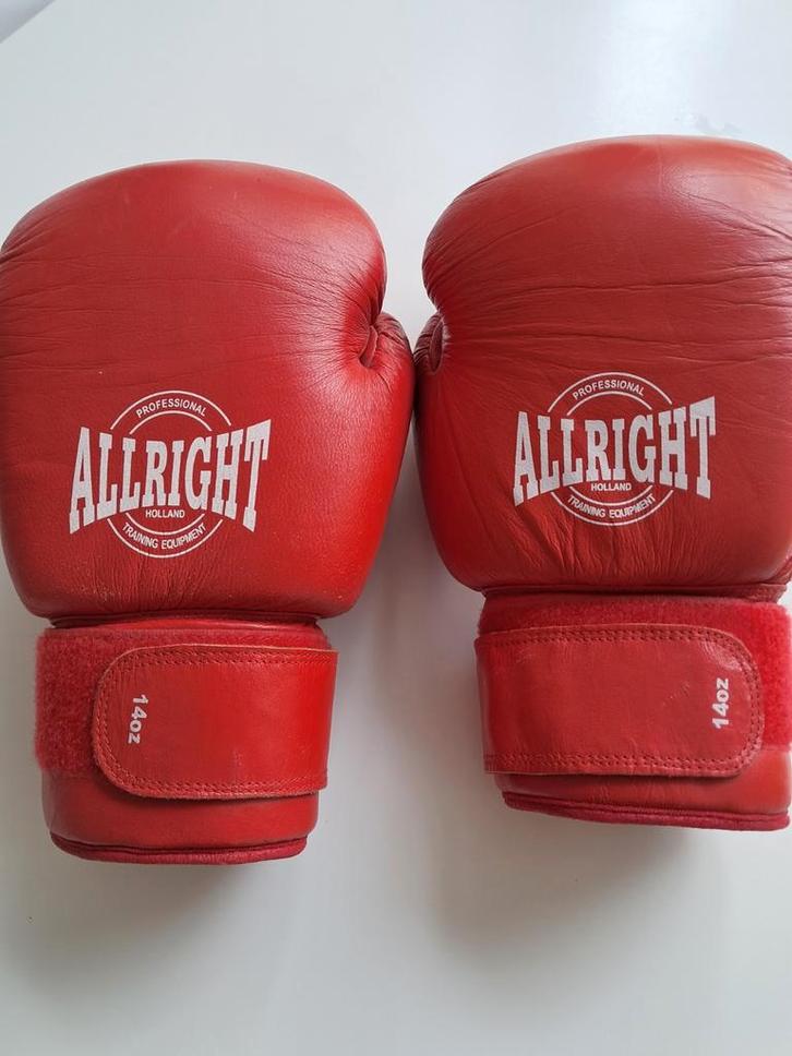 Bokshandschoenen + Matsuru Band - Set, Sport en Fitness, Boksen, Gebruikt, Bokshandschoenen, Ophalen of Verzenden