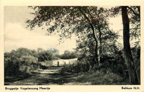 (380-113-001) Bakkum NH Vogelenzang, Verzamelen, Ansichtkaarten | Nederland, Noord-Holland, Verzenden