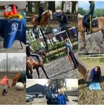 Ruitercoaching, Dieren en Toebehoren, Ophalen