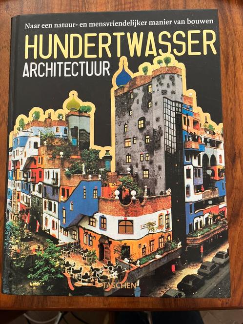 Hundertwasser Architectuur, Boeken, Kunst en Cultuur | Architectuur, Zo goed als nieuw, Ophalen of Verzenden