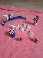 Playmobil Circus Honden, Kinderen en Baby's, Speelgoed | Playmobil, Ophalen of Verzenden, Gebruikt, Los playmobil