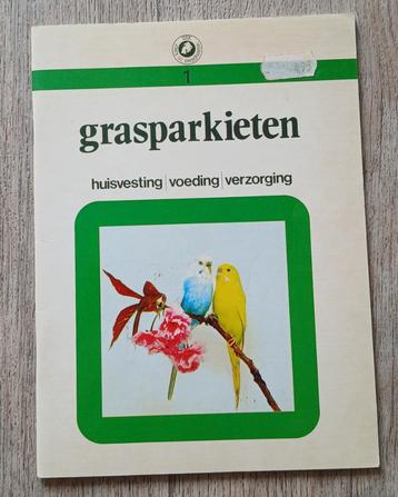 01 Grasparkieten beschikbaar voor biedingen