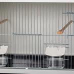 broedkooi, Dieren en Toebehoren, Ophalen, Zo goed als nieuw, Aluminium, Broedkooi of Kweekkooi