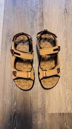 HEREN SANDALEN, Overige kleuren, Nieuw, Ophalen, Sandalen