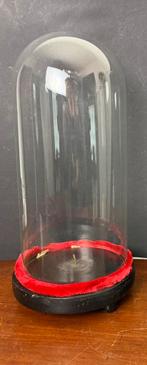 Glazen stolp op houten voet, Ophalen