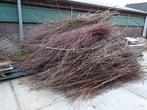 wilgentakken, Ophalen, Nieuw, Minder dan 180 cm, Palen
