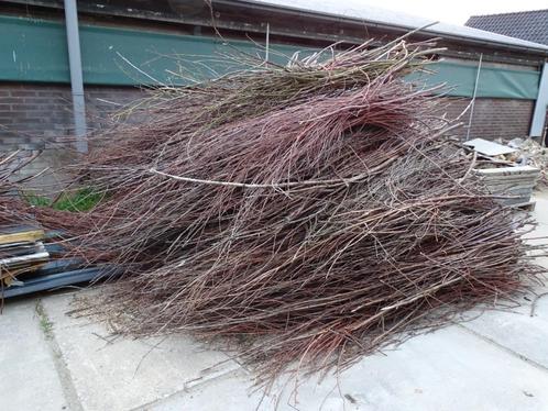 wilgentakken, Tuin en Terras, Palen, Balken en Planken, Nieuw, Palen, Minder dan 180 cm, Ophalen