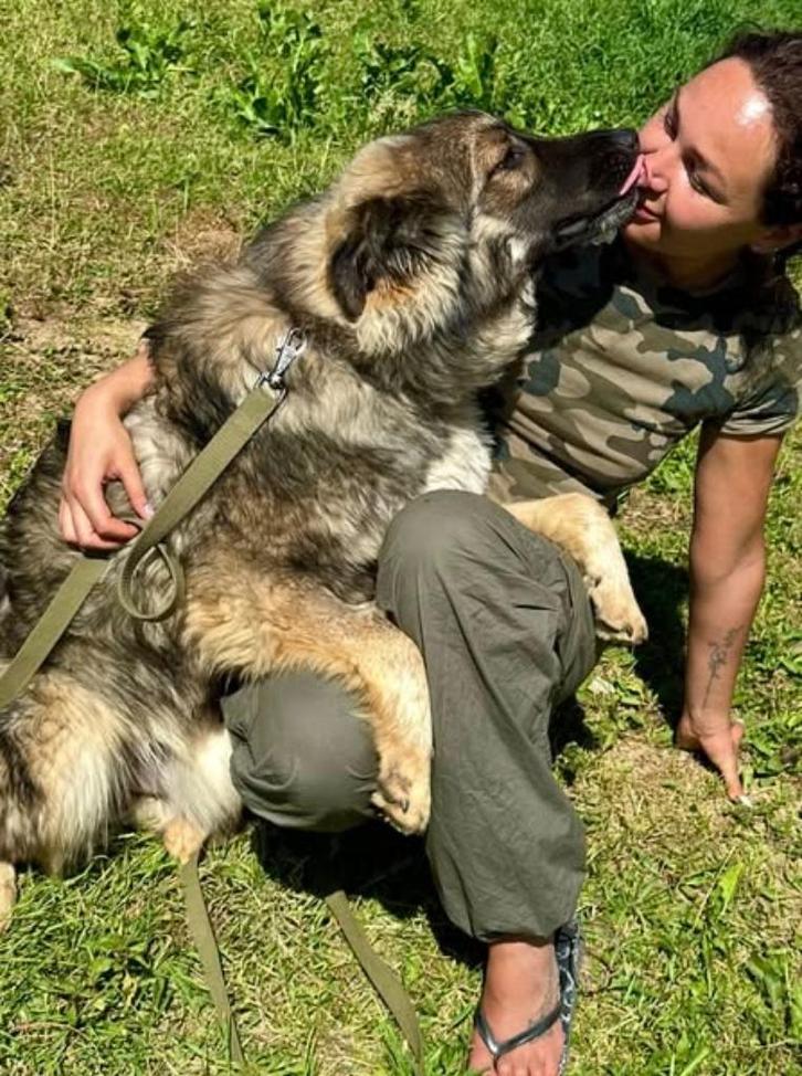 Help Pets Adoptie Herder en mix uit Oekraine, Dieren en Toebehoren, Honden | Herdershonden en Veedrijvers, Meerdere dieren, Overige rassen