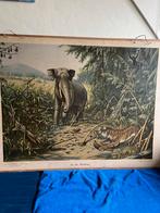 In de Rimboe, Ophalen, Natuur en Biologie