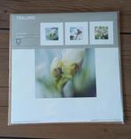 Trilling Ikea posters, Minder dan 50 cm, Nieuw, Ophalen of Verzenden, Foto of Poster